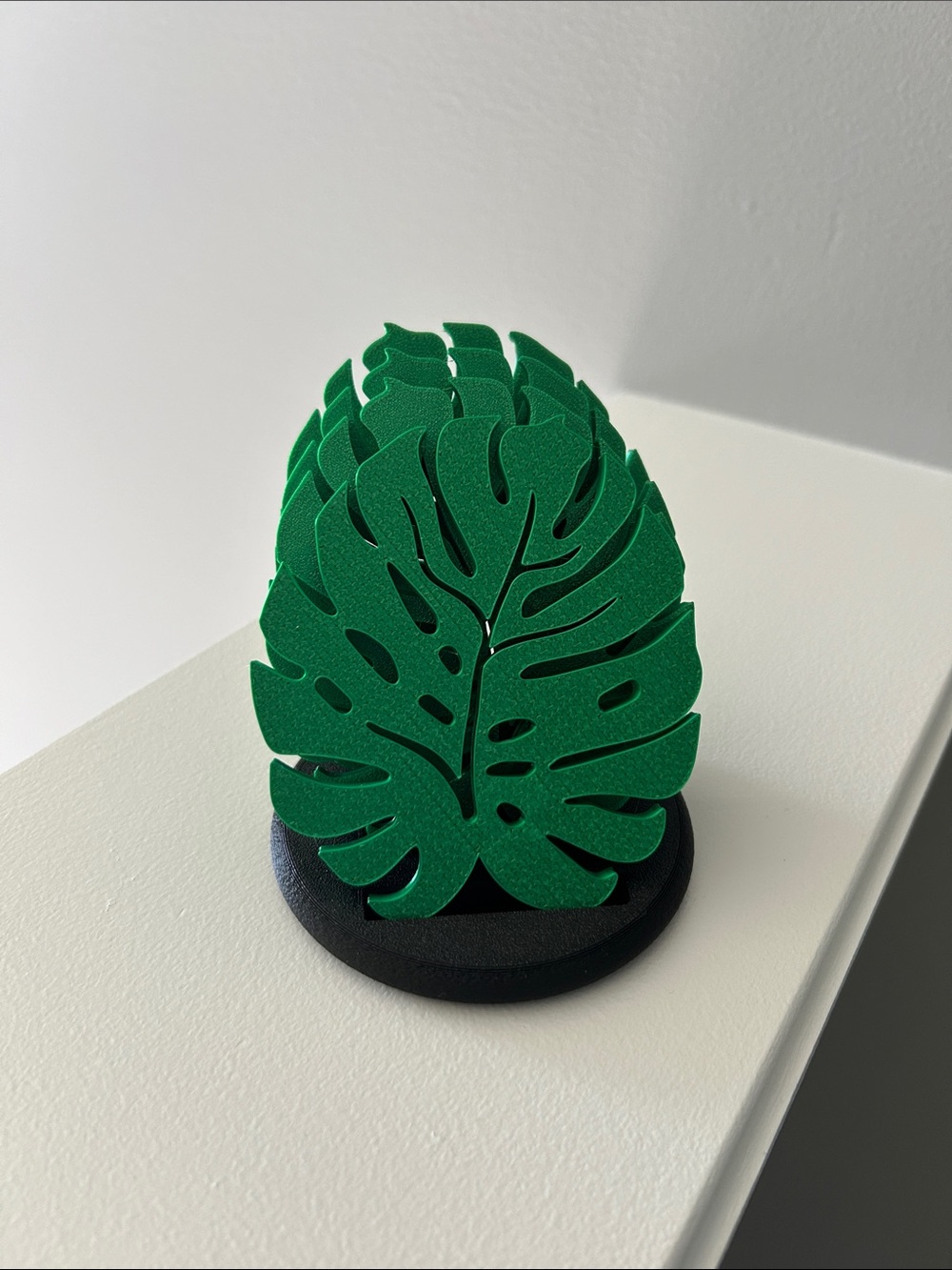 Monstera Plant Coasters